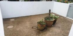 toh-yi-road photo thumbnail #6
